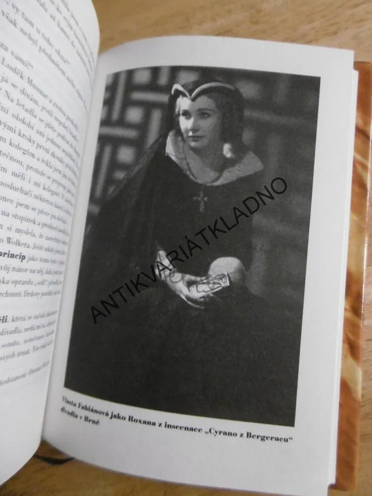 CHVILKY V ZÁKULISÍ, PETR HOŘEC, **an