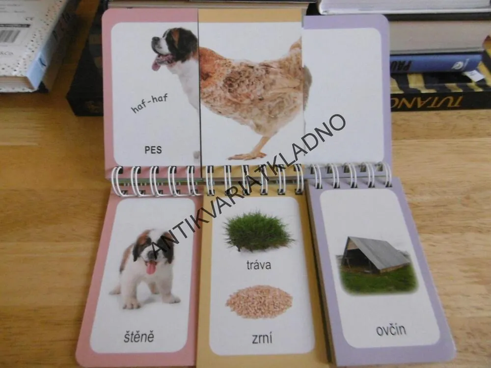 HRAVÁ LOGIKA, FARMA,