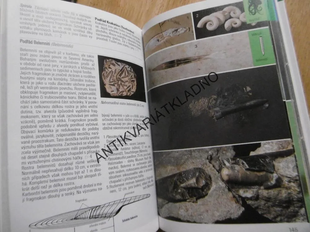 ZKAMENĚLINY, PRŮVODCE PŘÍRODOU, **an