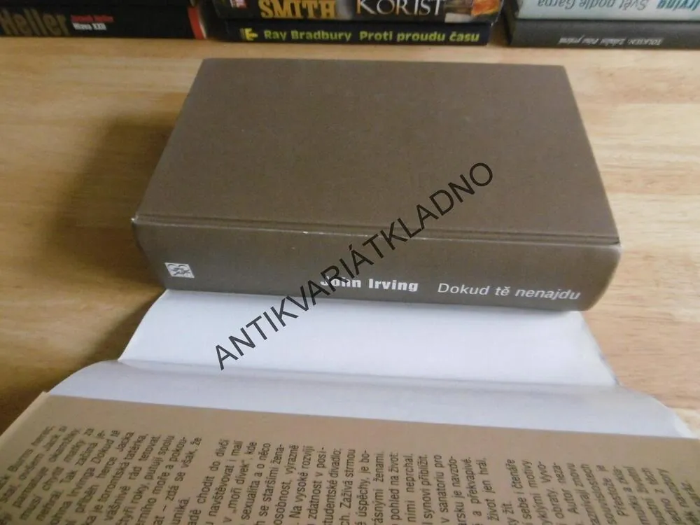 DOKUD TĚ NENAJDU, JOHN IRVING,**an