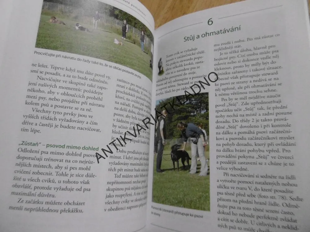VÝCVIK PSA K DOKONALÉ POSLUŠNOSTI, OBEDIENCE KROK ZA KROKEM,IMKE NIEWÖHNER, **an