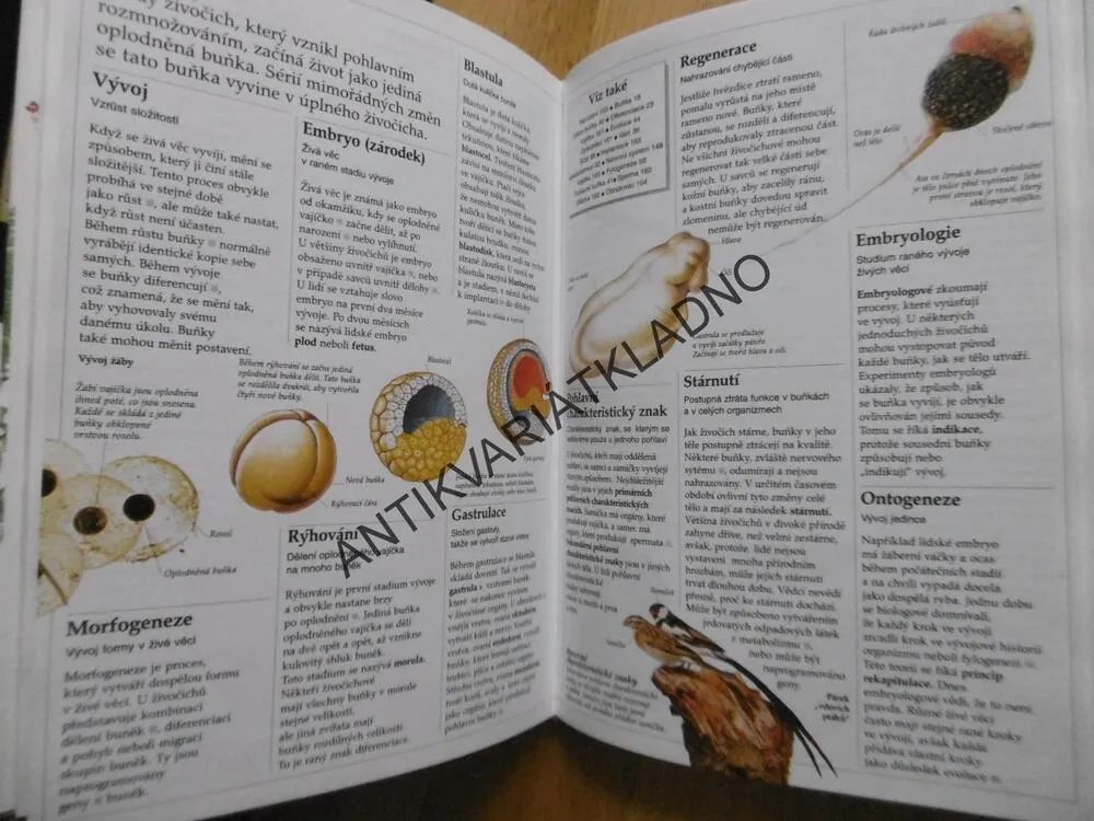 MALÁ ENCKLOPEDIA  PRÍRODY, SLOVENSKY, 2000 KLÍČOVÝCH SLOV, DAVID BURNIE, **an