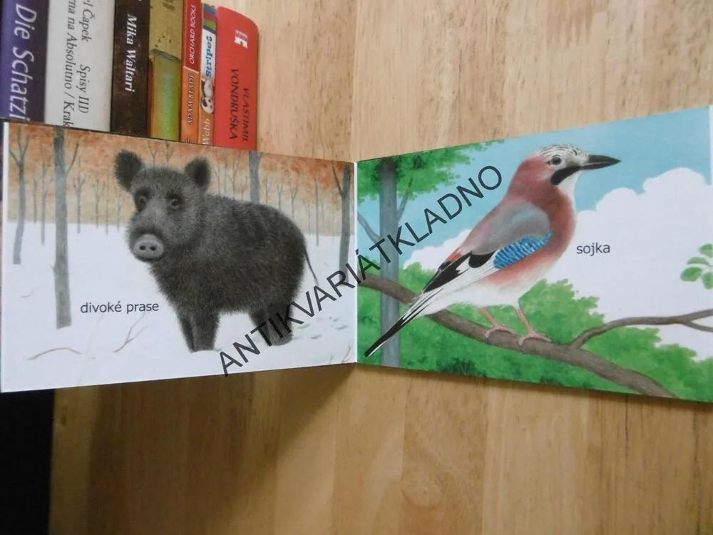 V LESE, POZNEJ ZVÍŘÁTKA, LEPORELO