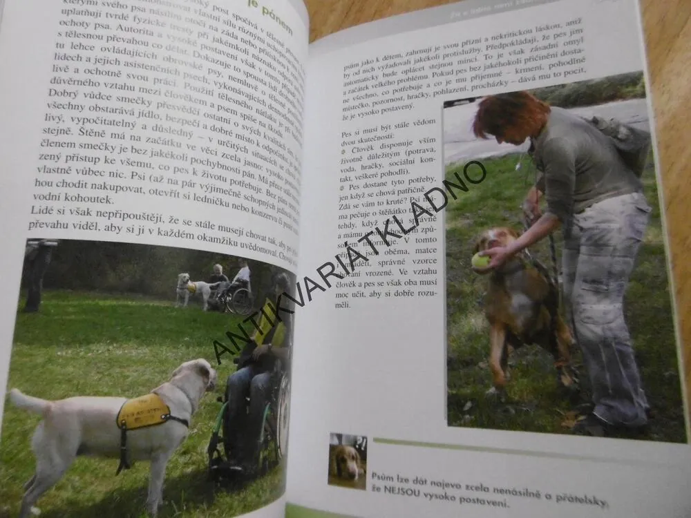 OD ŠTĚNĚTE KE PSU, JAK VYCHOVAT BEZPROBLÉMOVÉHO PSA, HANA ŽERTOVÁ, **an