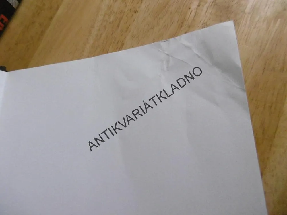 VRATISLAV, PRVNÍ KRÁL ČECHŮ, LUKÁŠ REITINGER, **an