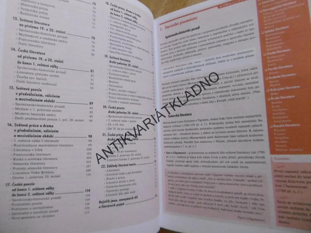 ODMATURUJ Z LITERATURY, DIDAKTIS