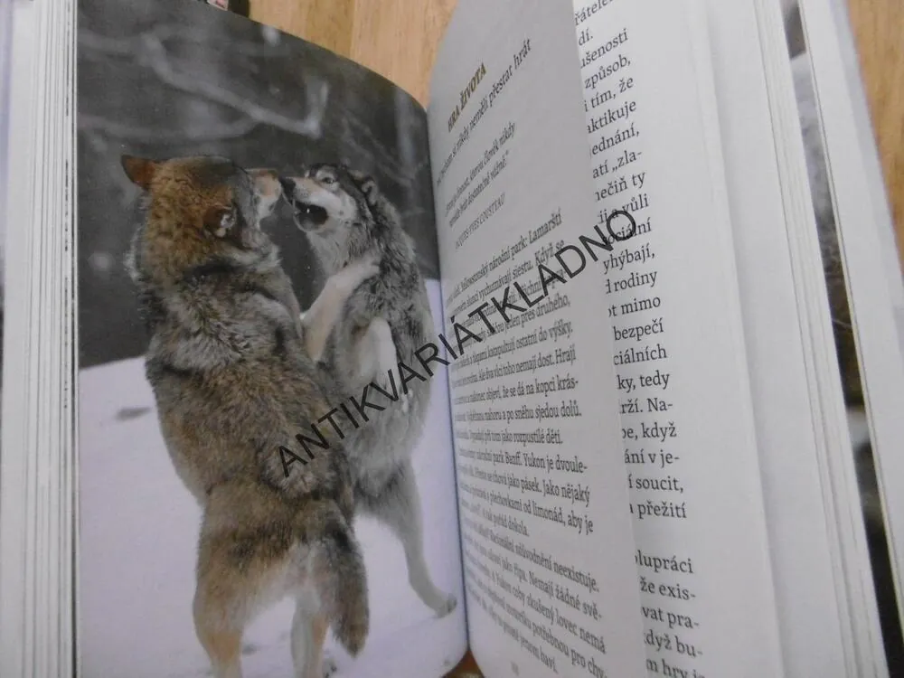 MOUDROST VLKŮ, ELLI H. RADINGEROVÁ, **an