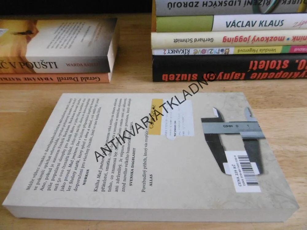 MUŽ JMÉNEM OVE, FREDERIK BACKMAN, **an