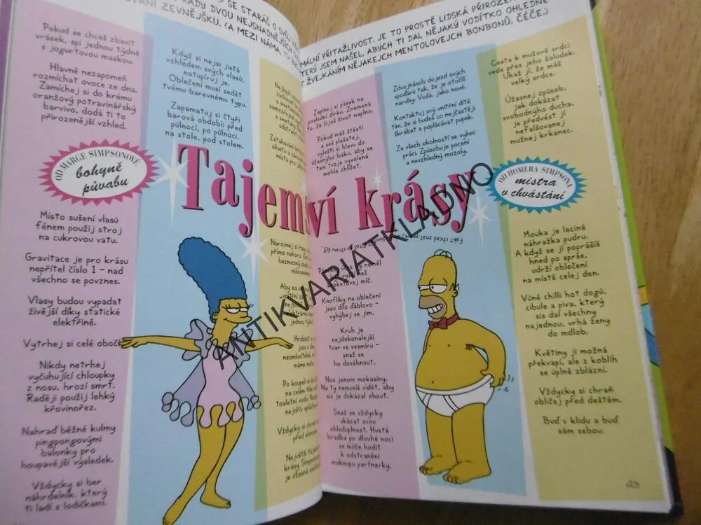 PRŮVODCE ŽIVOTEM, SIMPSONOVI, BART SIMPSON, **an