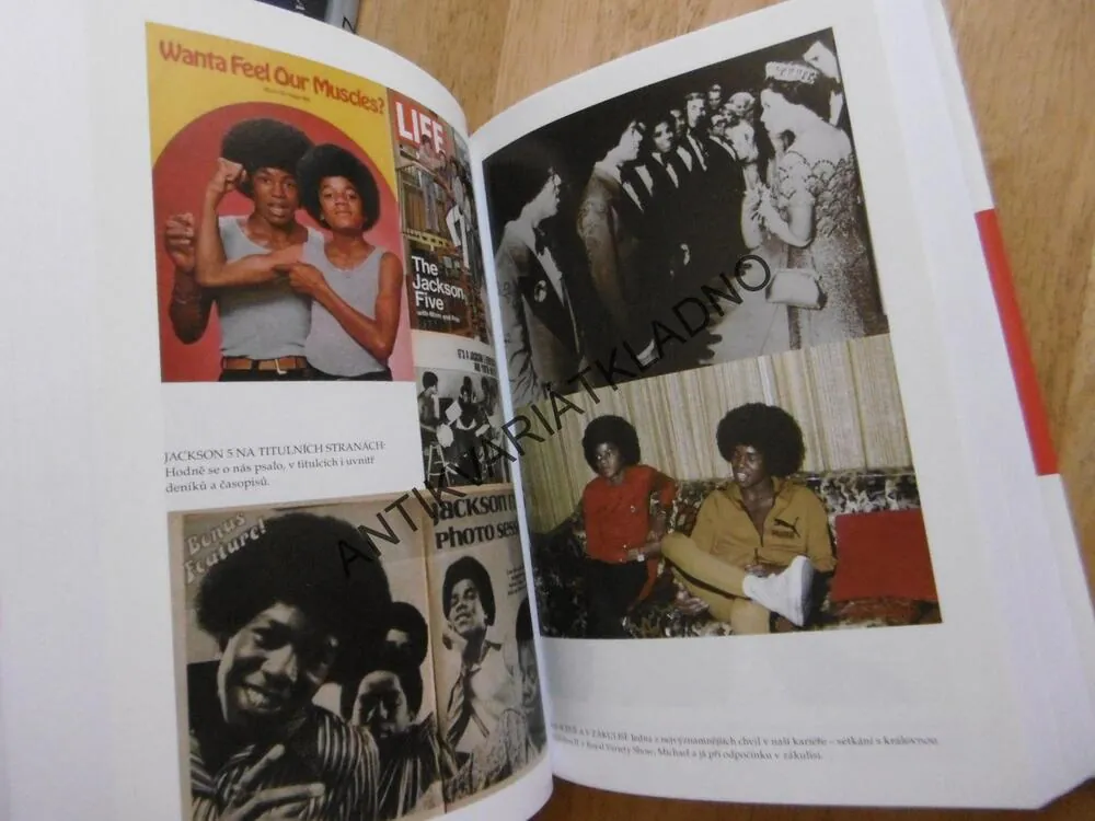 NEJSI SÁM MICHAEL JACKSON OČIMA SVÉHO BRATRA JERMAINE JACKSON, **an