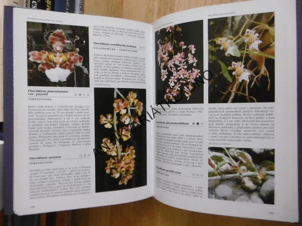ENCYKLOPEDIE ORCHIDEJÍ, ZDENĚK JEŽEK, **an
