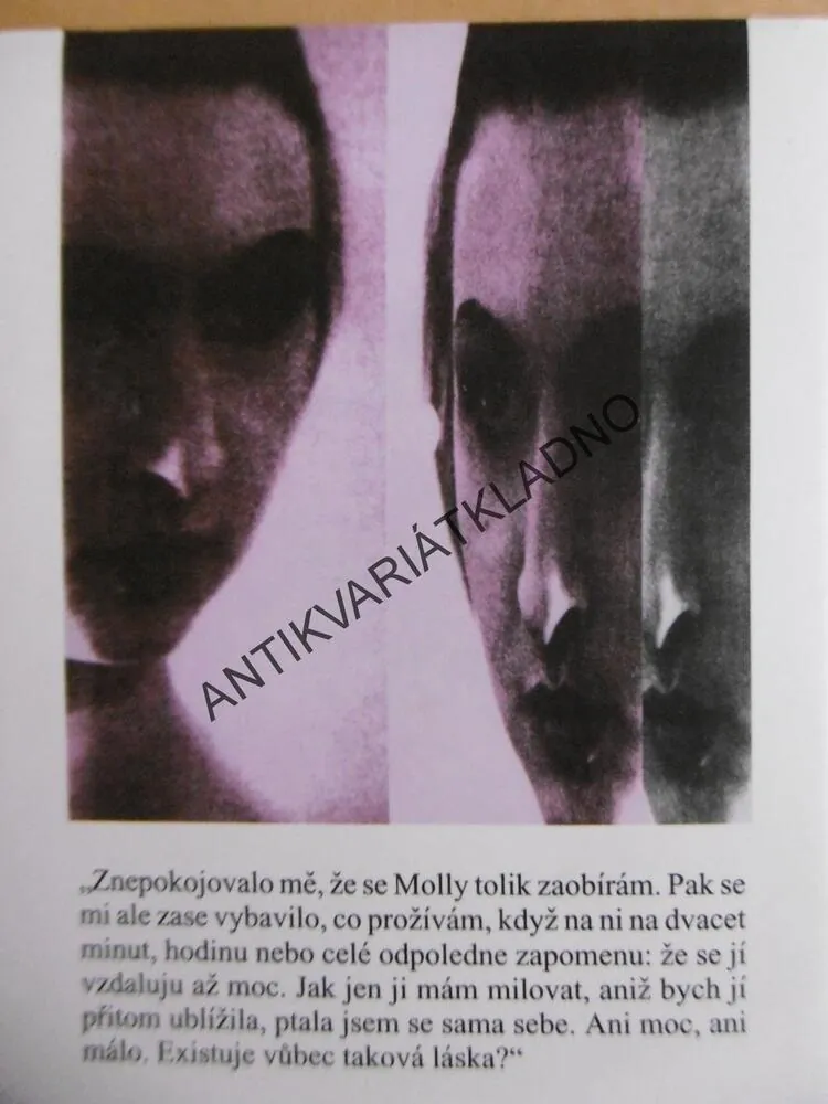 DOBRÁ MATKA, SUE MILLEROVÁ, **an