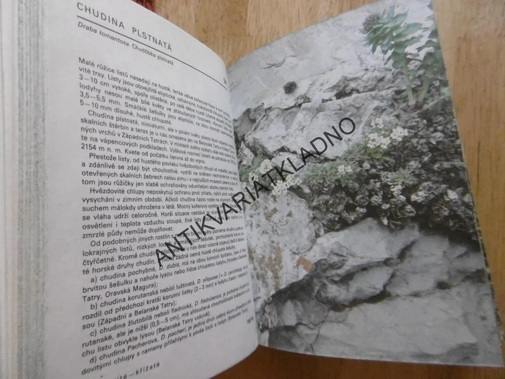 KAPESNÍ ATLAS - ROSTLINY NAŠICH HOR, JIŘÍ SOJÁK, **an