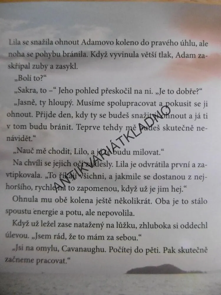 ADAMŮV PÁD, SANDRA BROWN, **an