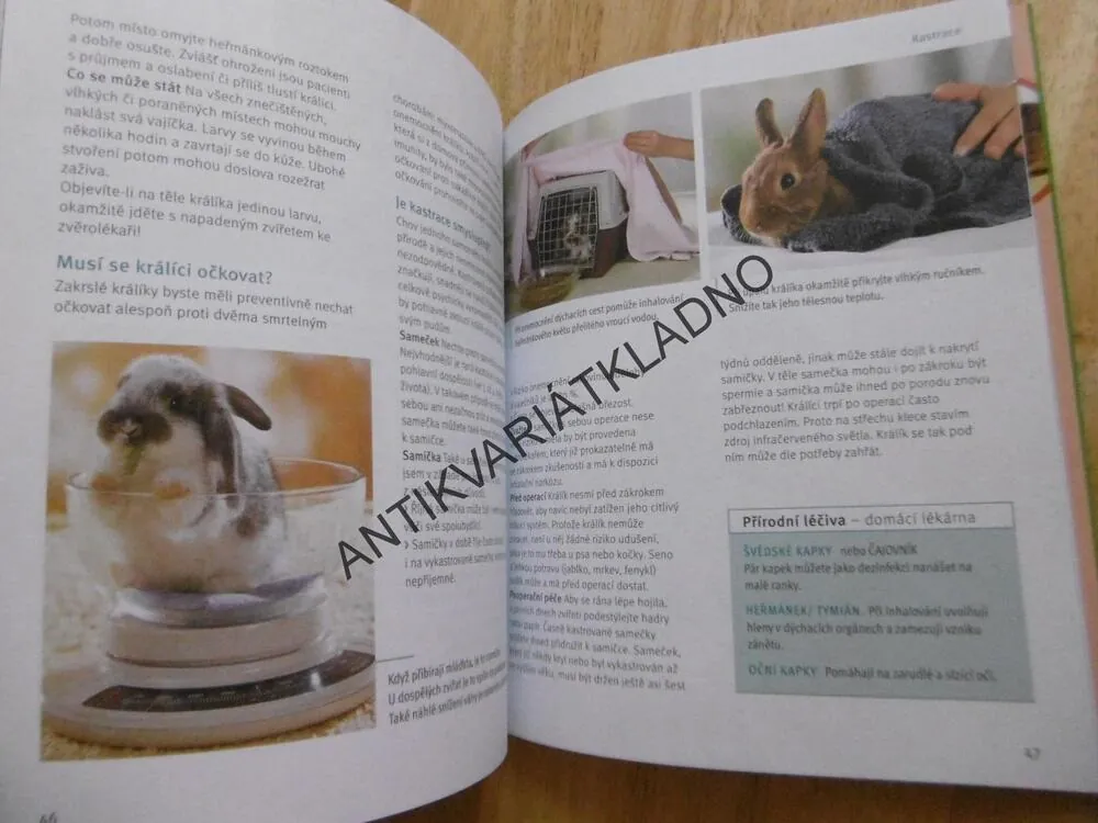 ZAKRSLÝ KRÁLÍK, JAK NA TO, ŠŤASTNĚ PROHOPKANÝ ŽIVOT, MONIKA WEGLER, **an