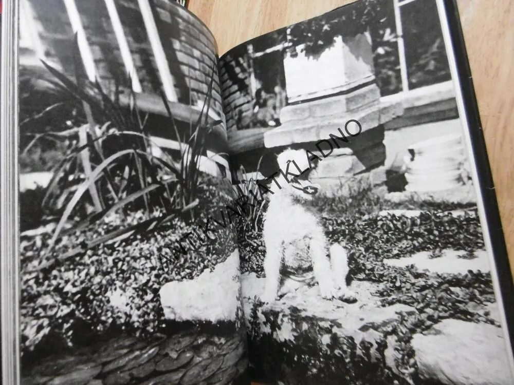 DÁŠENKA, ČILI ŽIVOT ŠTĚNĚTE, KAREL ČAPEK, 1980, **an