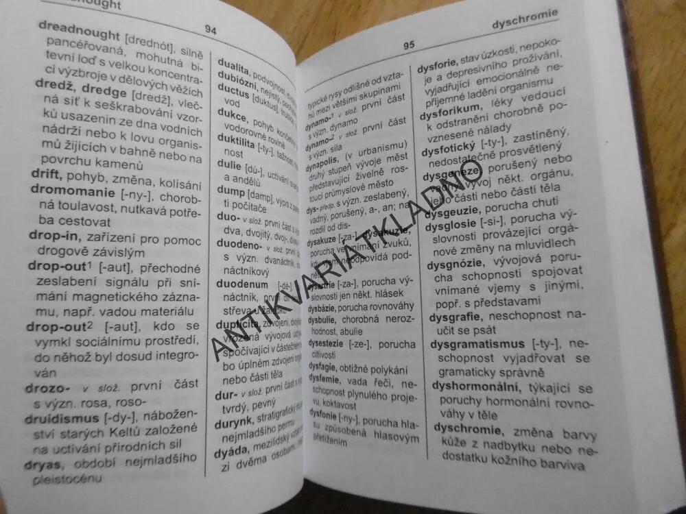KAPESNÍ SLOVNÍK CIZÍCH SLOV, 