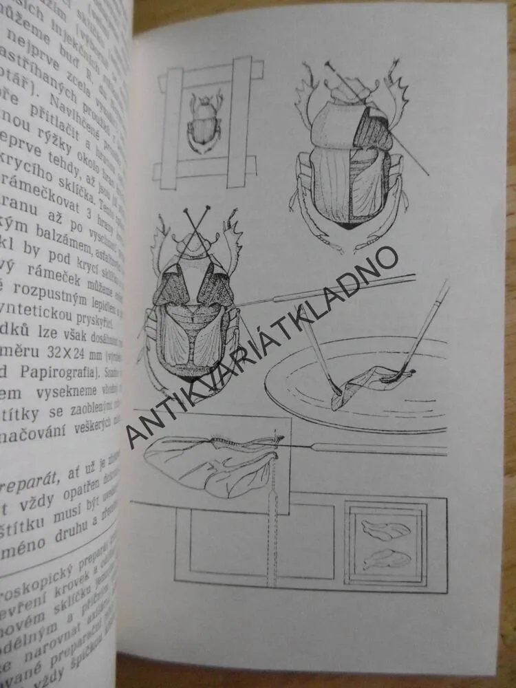 SBÍRÁME HMYZ A ZAKLÁDÁME ENTOMOLOGICKOU SBÍRKU, J.R. WINKLER, **an