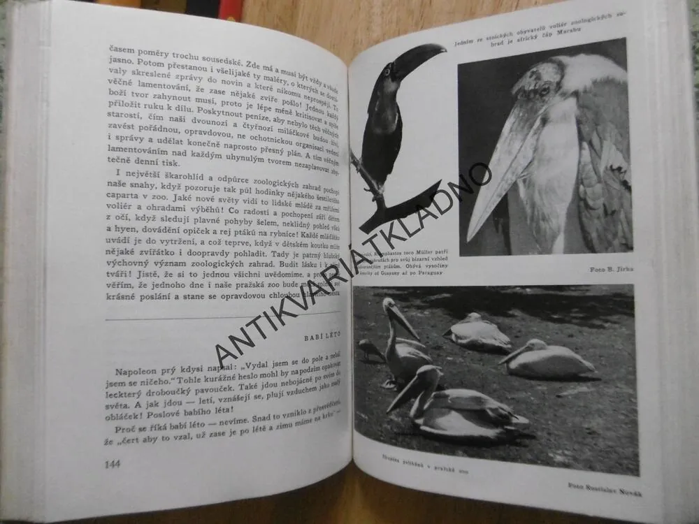 ZVÍŘATA A ZVÍŘÁTKA, JAN OBENBERGER - AUTOGRAM, 1945, **an