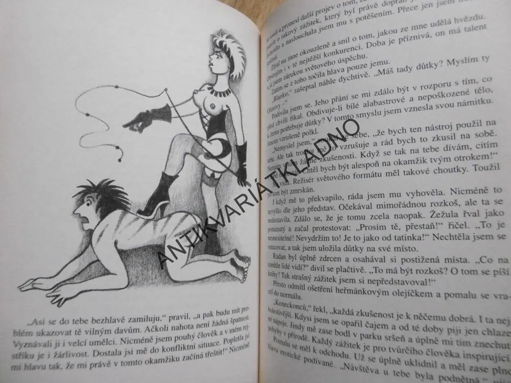BLANKA OBĚT SEXUÁLNÍHO HARAŠENÍ, MILOSLAV ŠVANDRLÍK, **an