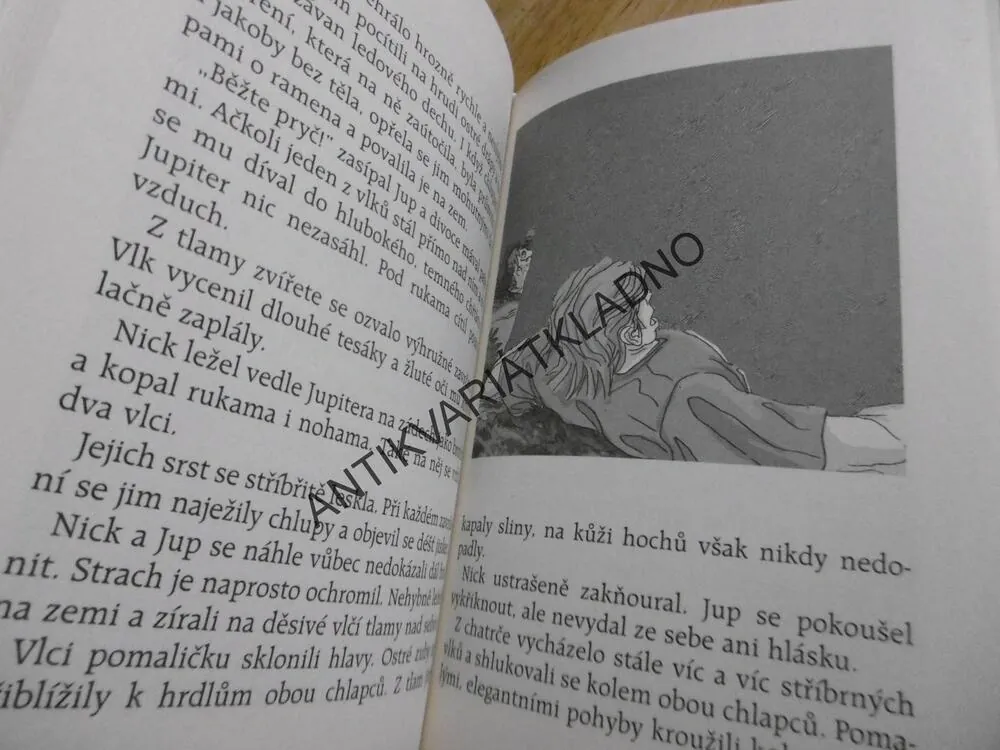 KLUB ZÁHAD, TAJEMSTVÍ STŘÍBRNÝCH VLKŮ, LUPA, THOMAS BREZINA, bez lupy, **an