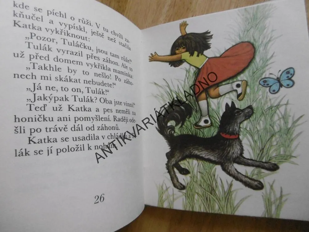 KATKA, BRANKA JURCOVÁ, **an