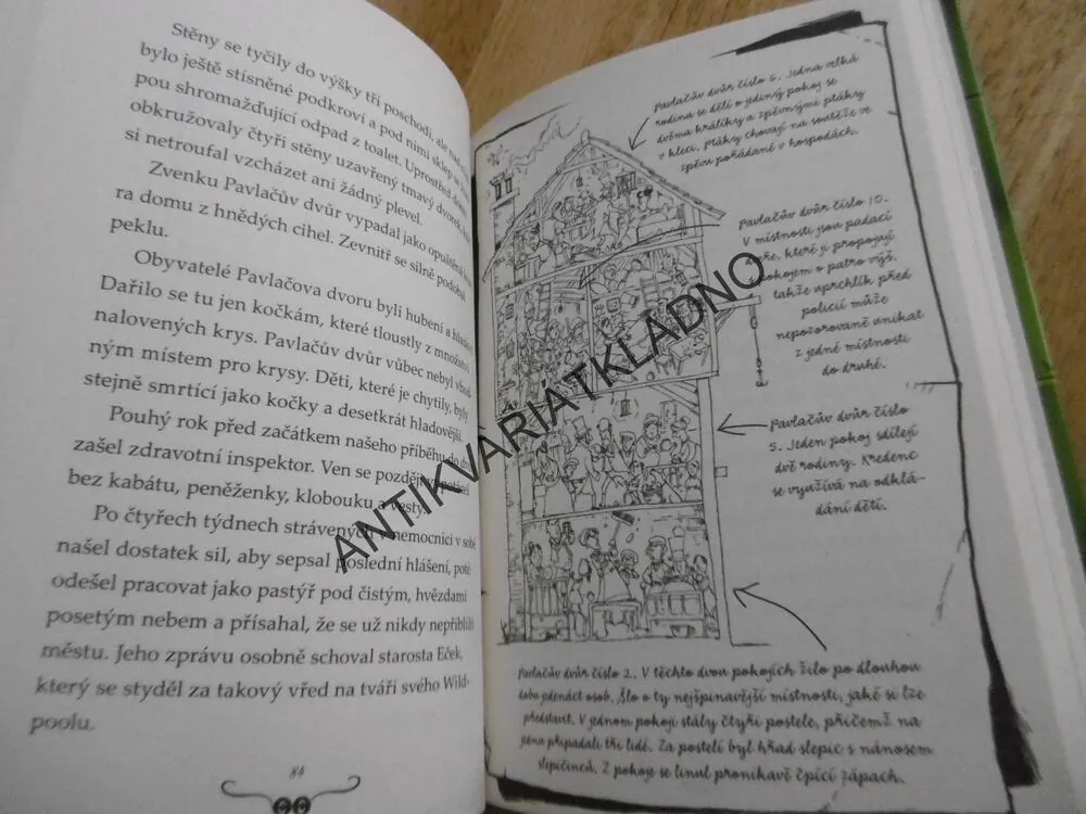 ŠVINDLOVA ULIČNICKÁ AKADEMIE, ROŠŤÁCI V AUKCI, TERRY DEARY, **an