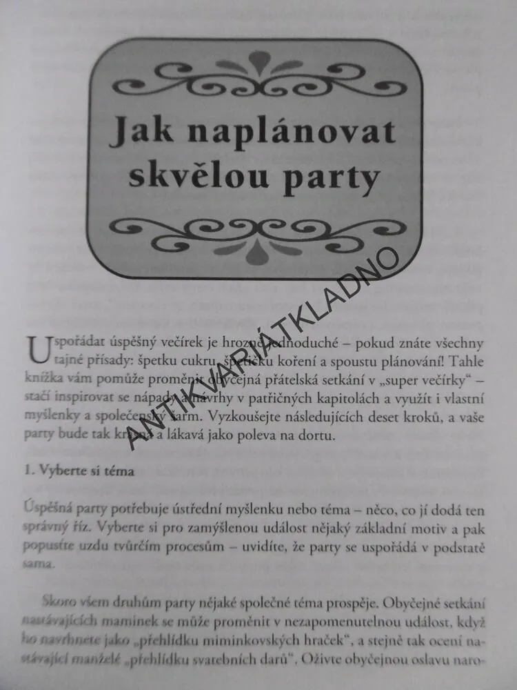 1001 NÁPADŮ NA SKVĚLOU PARTY, PENNY WARNER, **an