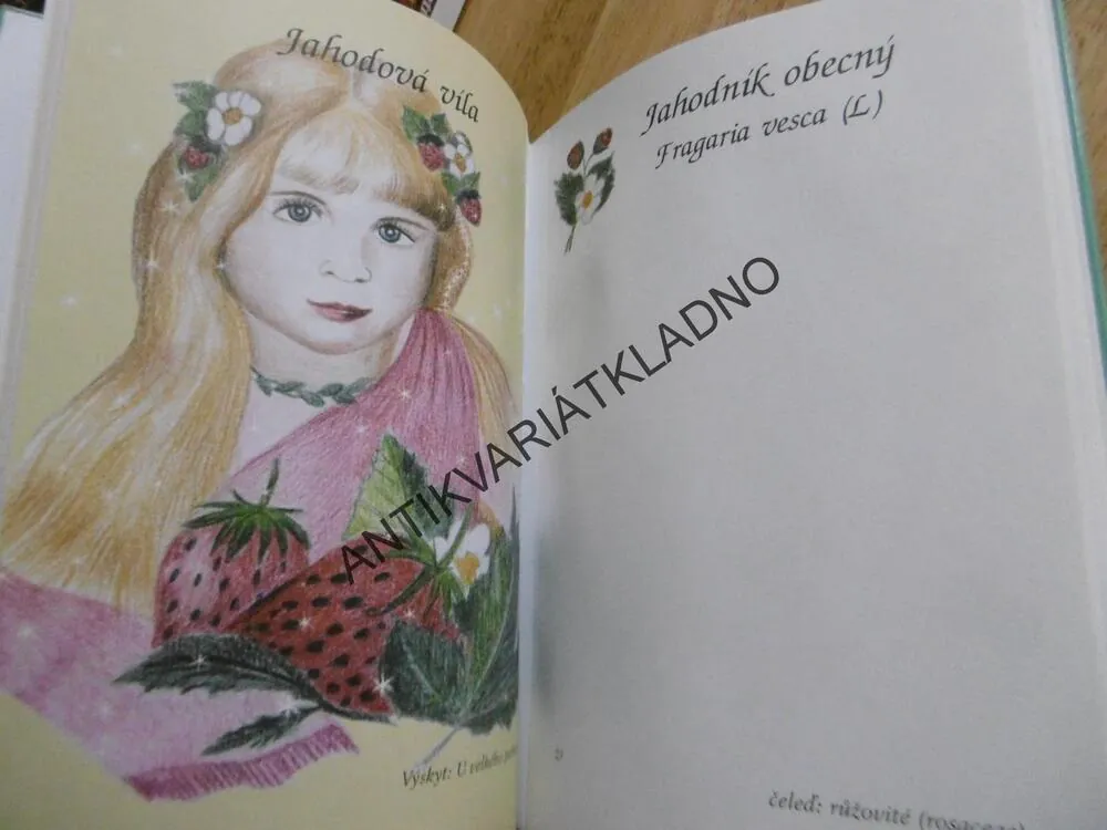 MŮJ POHÁDKOVÝ HERBÁŘ, LUČNÍ ROSTLINY, IVA HOŇKOVÁ, **an
