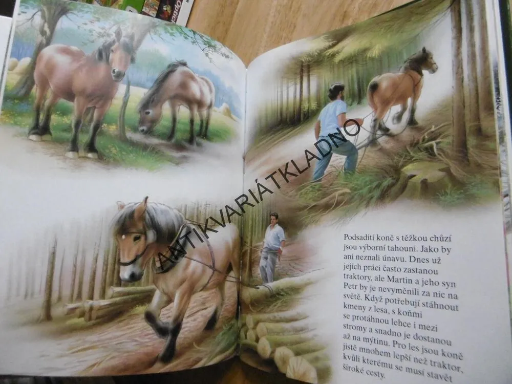 JAK SI ŽIJÍ ZVÍŘÁTKA, **an