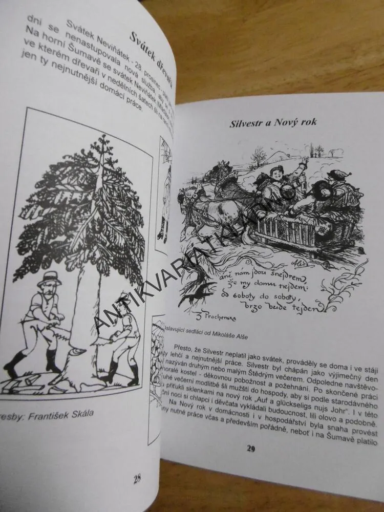 STARÁ ŠUMAVA VE ZVYCÍCH ADVENTU A VÁNOC,