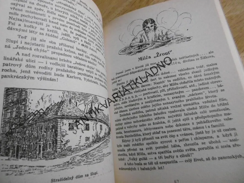 PRAŽSKÉ BAHNO, KAREL LADISLAV KUKLA, TYPY A FIGURKY STARÉ PRAHY, **an