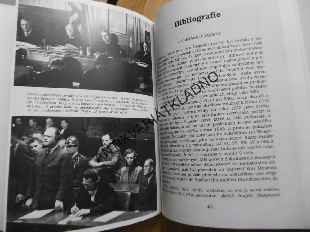 LUFTWAFFE VZESTUP A PÁD, DAVID IRVING, **an