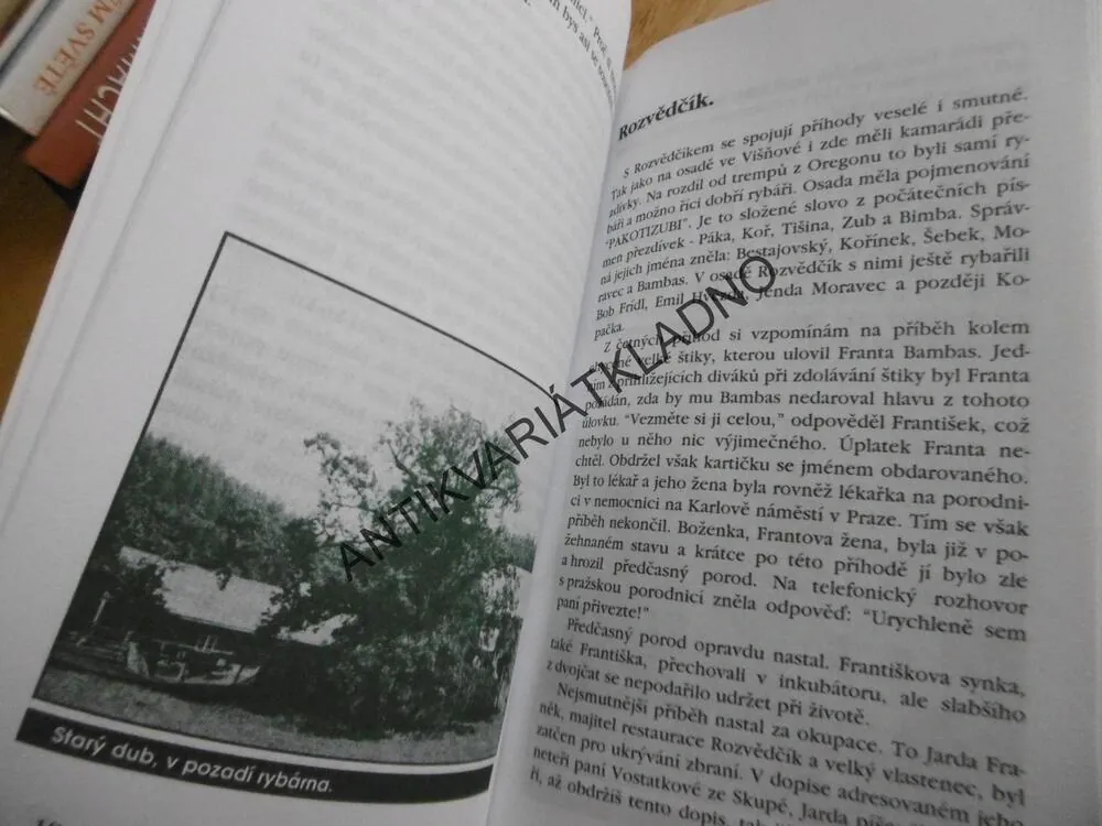 PŮL STOLETÍ S TEBOU ŘEKO MILOVANÁ