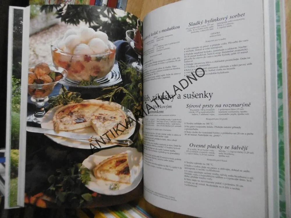 BYLINÁŘ, ZDRAVÍ, KRÁSA, RADOST, LESLEY BREMNESSOVÁ, **an