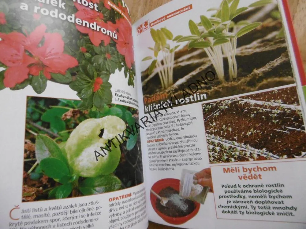 CHOROBY A ŠKŮDCI DOMA I NA ZAHRADĚ, **an