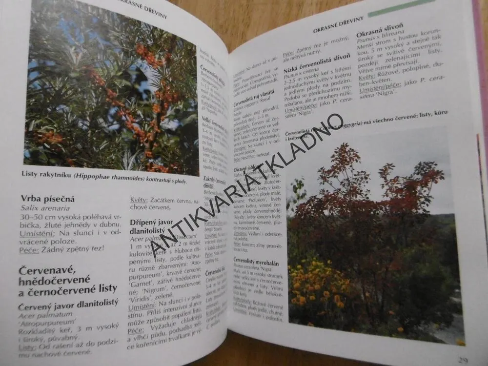 OKRASNÉ DŘEVINY, PRAKTICKÝ RÁDCE, KARLHEINZ JACOBI, **an