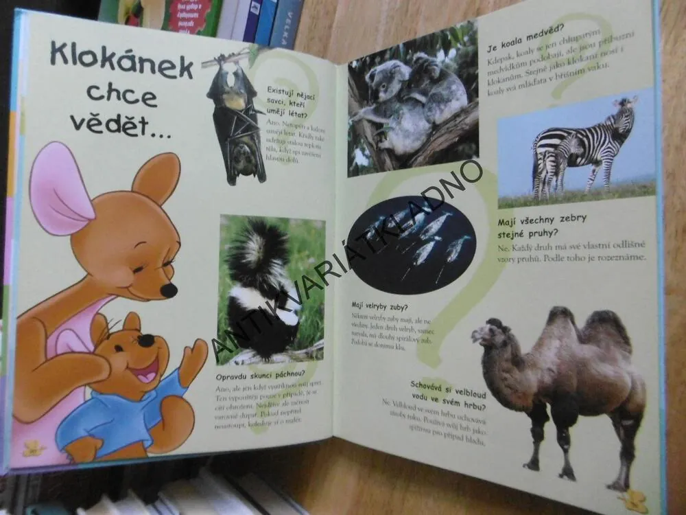MOJE PRVNÍ ENCYKLOPEDIE S MEDVÍDKEM PÚ, ZVÍŘATA, WALT DISNEY, **an