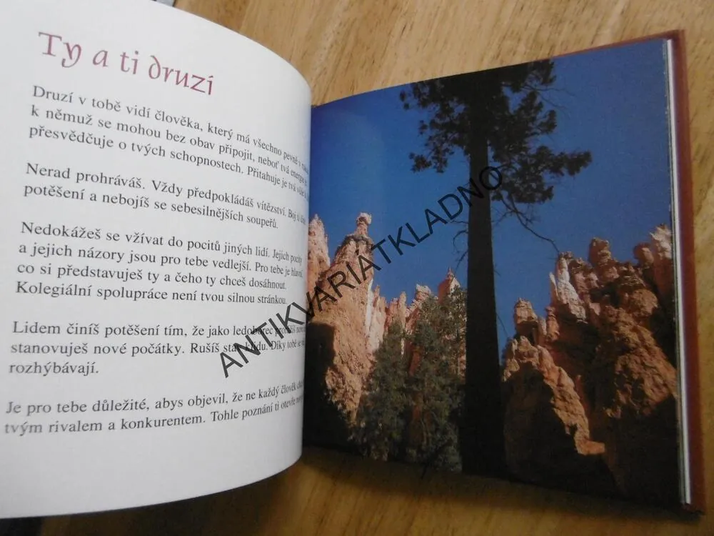 VE ZNAMENÍ BERANA, CESTA ROZHODNOSTI, SCHAFFER, **an
