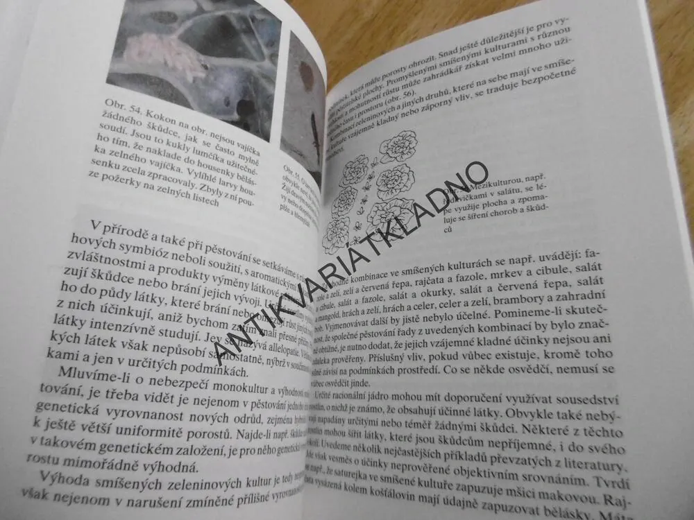 PĚSTUJEME ZDRAVOU ZELENINU, EVA PEKÁRKOVÁ, **an