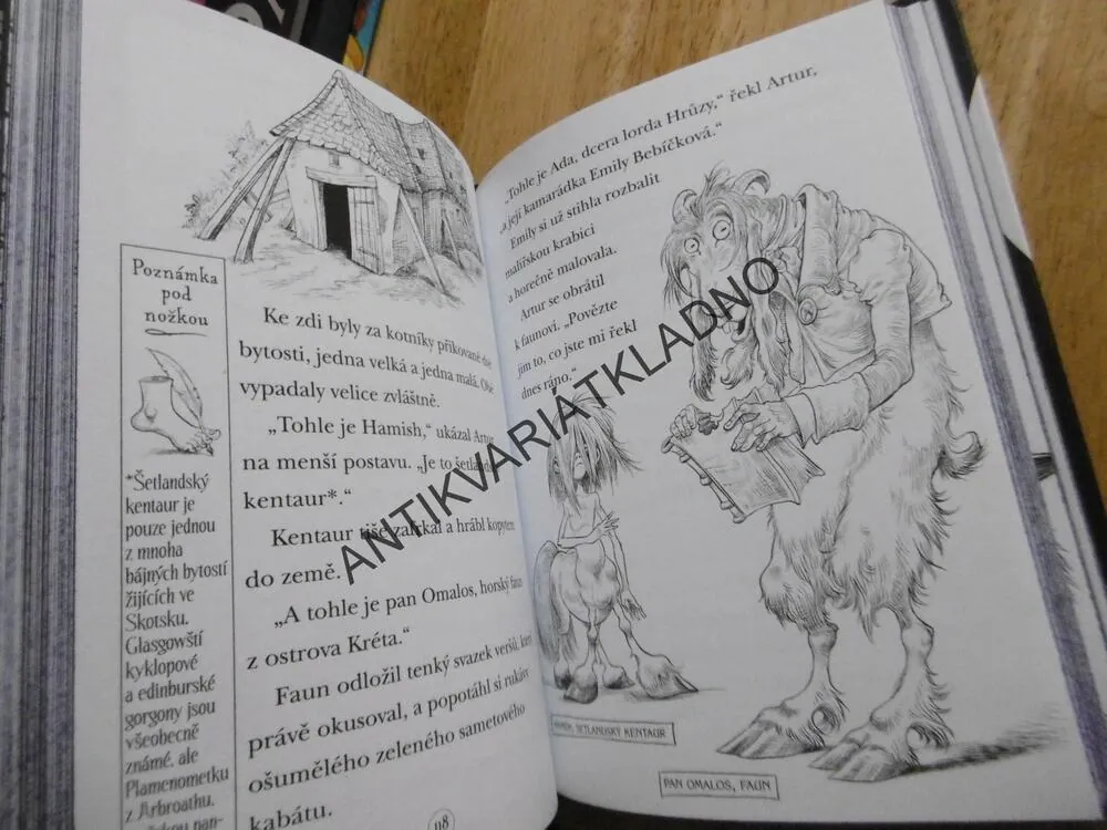 ADA A MYŠÍ STRAŠIDLO, CHRIS RIDDELL, **an