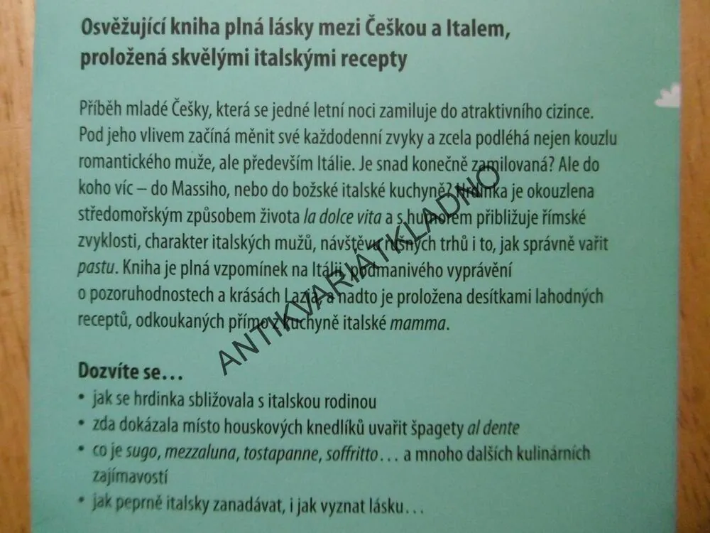 ŘÍKAL JSI TI AMO, EVA RÝZNEROVÁ, **an