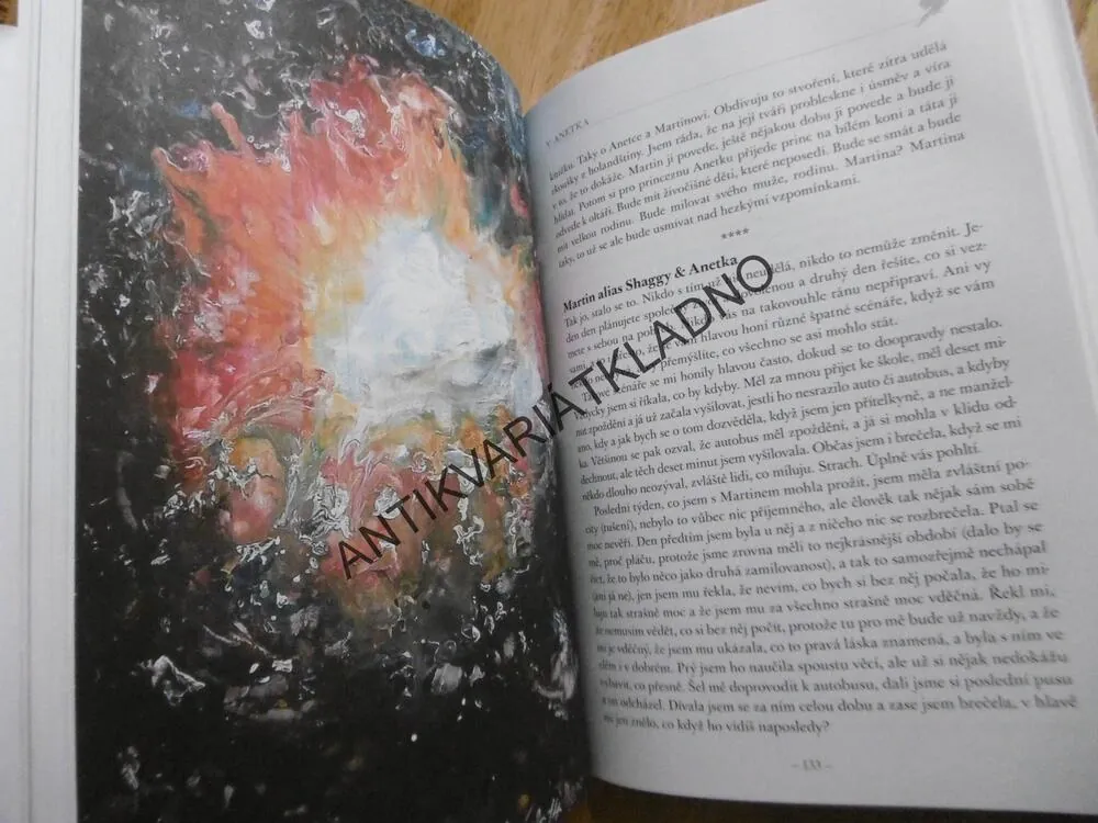 NAJÍT SVĚTLO VE TMĚ, HLEDÁNÍ CESTY ZPĚT DO ŽIVOTA PO ZTRÁTĚ BLÍZKÉ OSOBY, SIMONA VLKOVÁ, **an