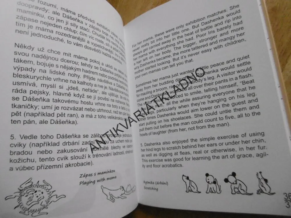 DÁŠENKA ČILI ŽIVOT ŠTĚNĚTE, KAREL ČAPEK, VÝUKA ANGLIČTINY, BEZ CD, **an