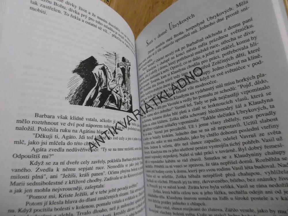 KLÁŠTER BOŽÍCH PANEN, DAGMAR ŠTĚTINOVÁ, **AN