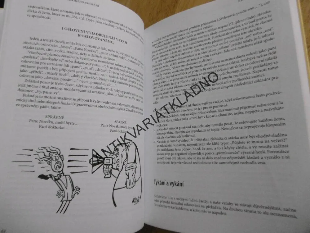 LEXIKON SPOLEČENSKÉHO CHOVÁNÍ, VLADIMÍR SMEJKAL, HANA BACHRACHOVÁ, **AN