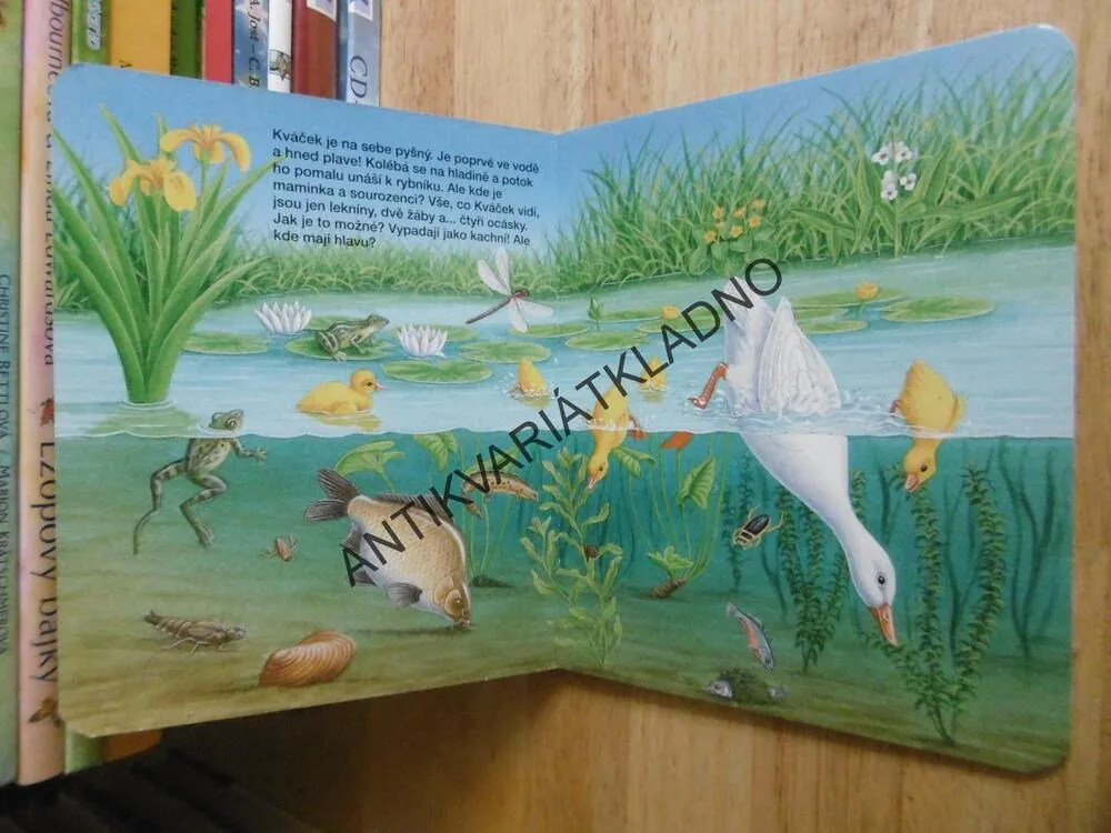 KVÁČKOVO PRVNÍ DOBRODRUŽSTVÍ, **an