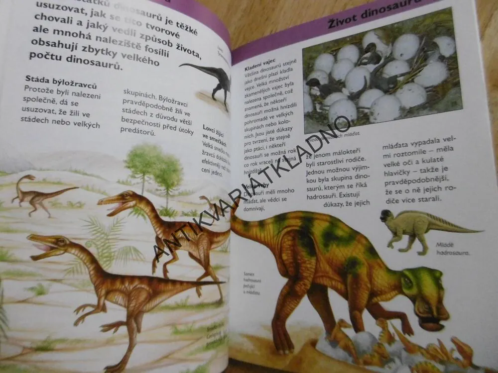 DINOSAUŘI, ZÁKLADNÍ FAKTA V MALÍČKU, **AN