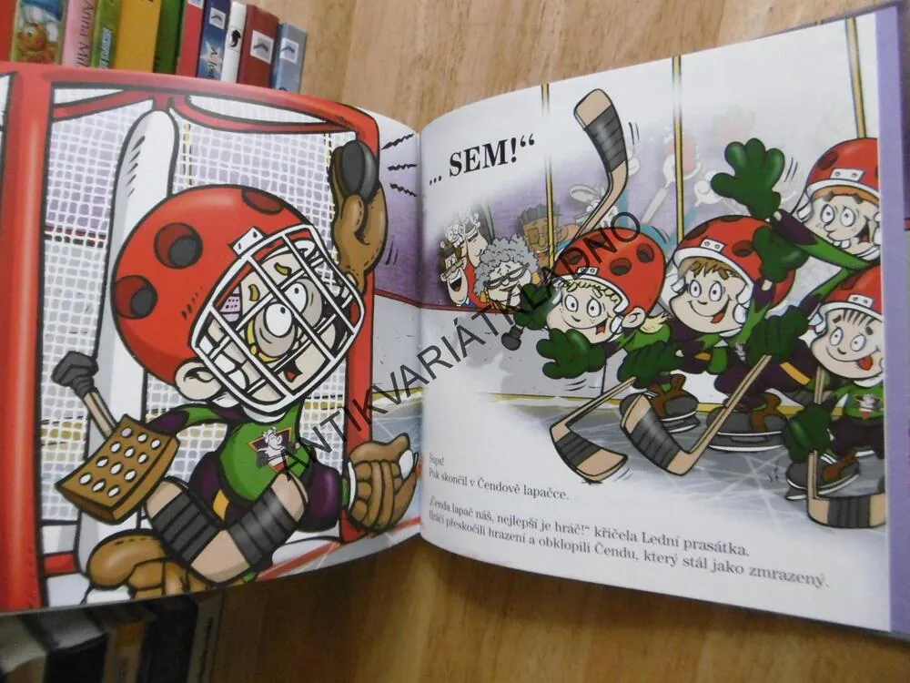 RÍŠA RÍŠA A BRANKÁŘ NA ÚTĚKU, MARY SHAWOVÁ, CHUCK TEMPLE, **an