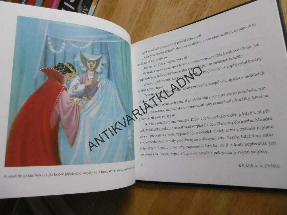 JAK TO BYLO DÁL... IVONA BŘEZINOVÁ - AUTOGRAM, ZDEŇKA BOUŠKOVÁ,  **an